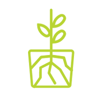 PLANT PROPAGATION