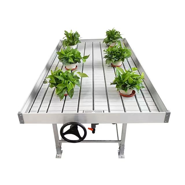 Growing Rolling Bench