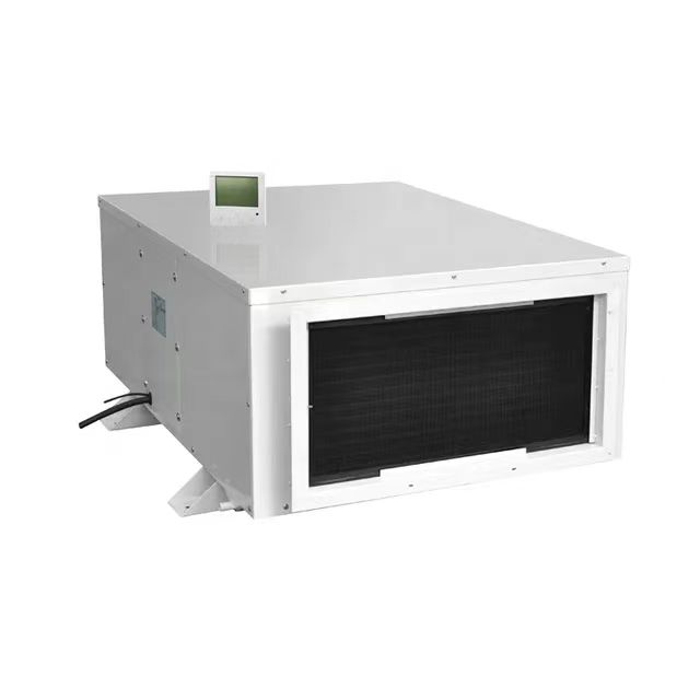 Powerful Ceiling Dehumidifier